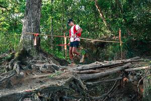 BIB: 
                            <button type="button" onclick="openModal(27545533)" class="btn btn-primary btn-sm float-right btn-popup" data-toggle="modal" data-target=".modal-high-quality">
                        <i class="fas fa-shopping-cart"></i> Add to Cart
                    </button>
                                            <button type="button" onclick="isThisMe(27545533, true)" class="btn btn-success btn-sm float-right btn-popup btn-isme hidden" data-toggle="tooltip" data-placement="bottom" title="นี่คือรูปของคุณใช่ไหม คลิกที่นี่เพื่อเอาเข้าอัลบั้ม">
                        <i class="fas fa-plus"></i> Add to album
                    </button>
                    <button type="button" onclick="isThisMe(27545533, false)" class="btn btn-warning btn-sm float-right btn-popup btn-isnotme hidden">
                        <i class="fas fa-ban"></i> Remove from album
                    </button>